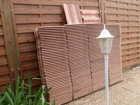 tuiles 180 La Crau (83)