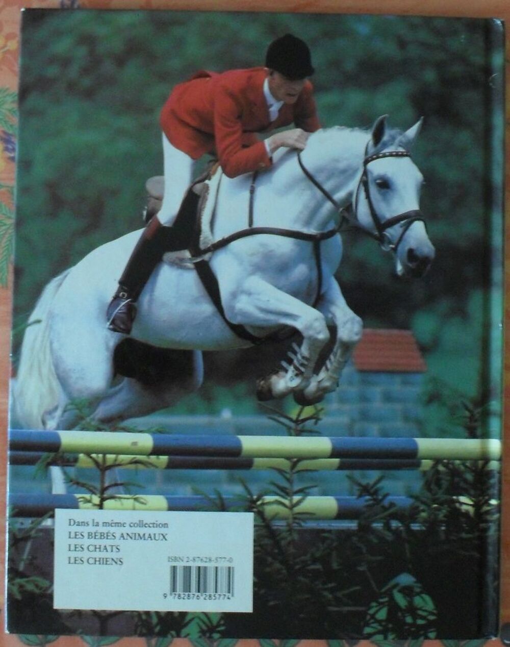 Les CHEVAUX de Angela SAYER &eacute;ditions PML Livres et BD