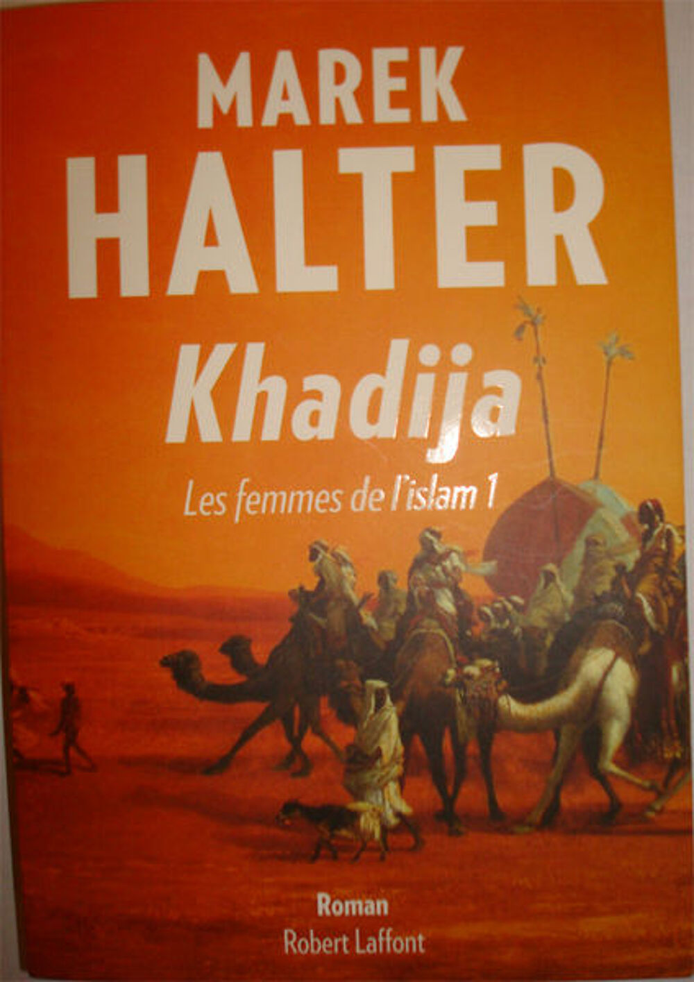NOMBREUX ROMANS ETAT NEUF Livres et BD