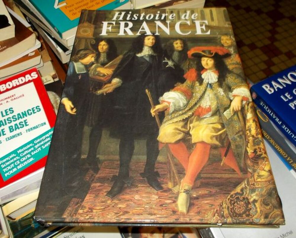 Beau livre sur l'Histoire de France Livres et BD