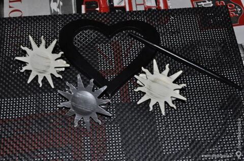 Lot d'embrases pour rideaux 5 Perreuil (71)