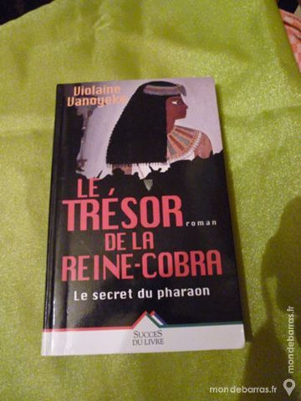 Roman&laquo;Le Tr&eacute;sor de la Reine Cobra &raquo; Livres et BD