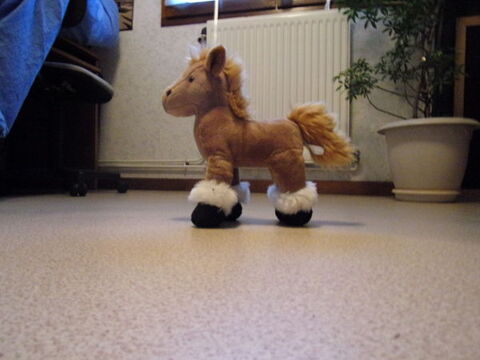 PELUCHE 5 Saint-Jean-de-Thurigneux (01)