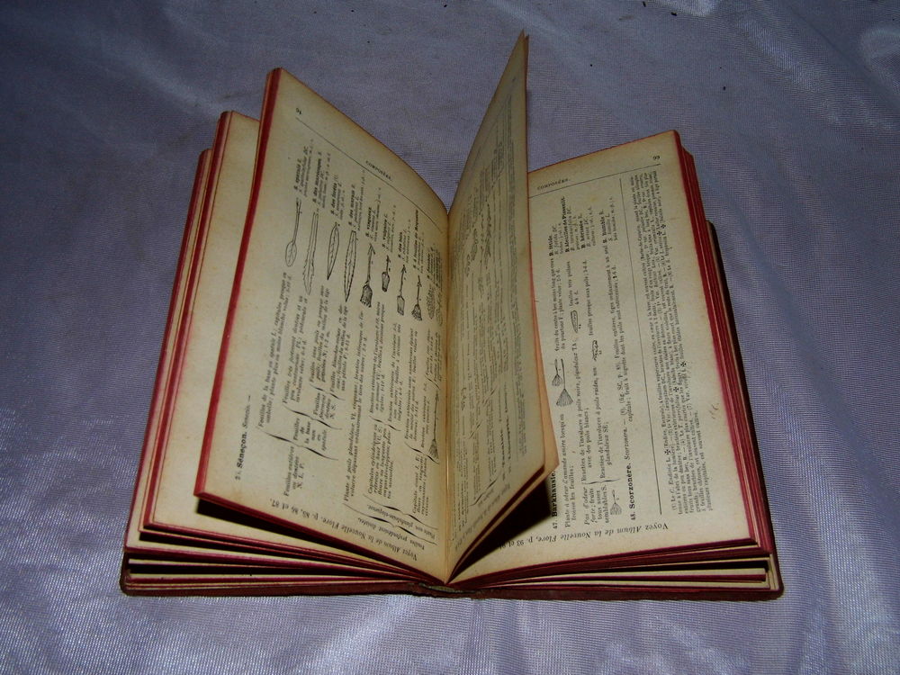 FLORE du NORD de la FRANCE et BELGIQUE Livre ancien botanique 