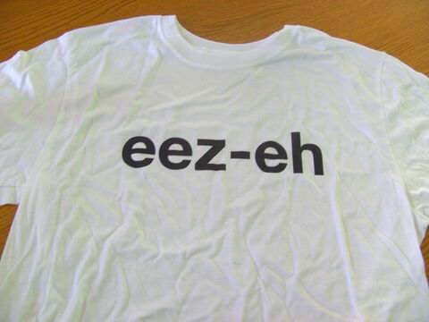 Tee-shirt Taille M  l'effigie Kasabian (Neuf) 14 Ardoix (07)