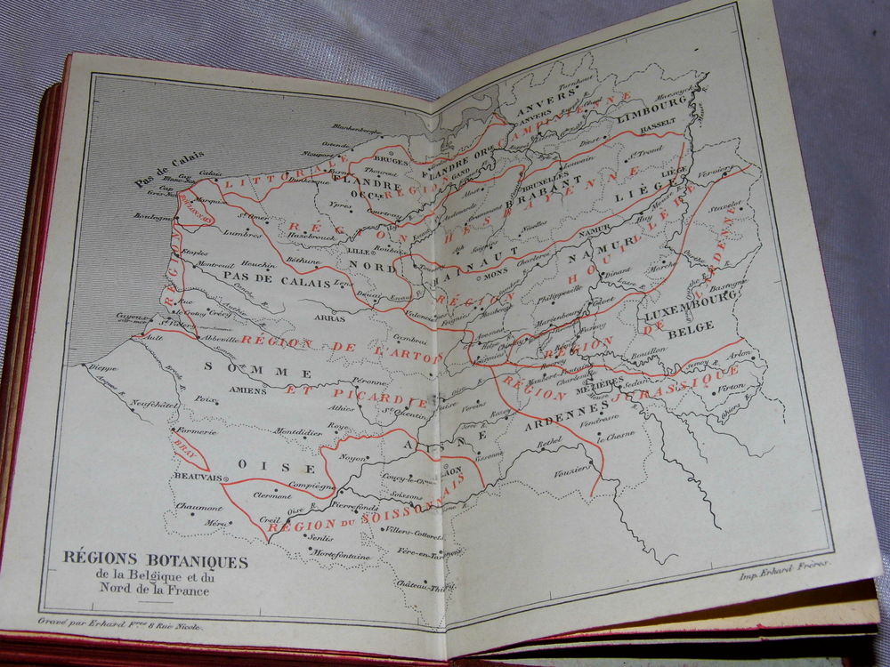 FLORE du NORD de la FRANCE et BELGIQUE Livre ancien botanique 