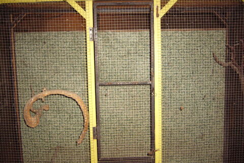 cage 50 La Bresse (88)