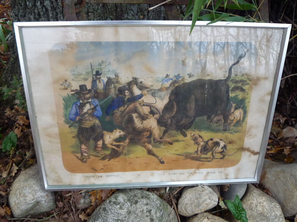 Gravure/ La chasse aux bisons/western/Buffalo Bill Décoration