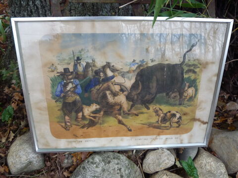 Gravure/ La chasse aux bisons/western/Buffalo Bill 35 Castres (81)