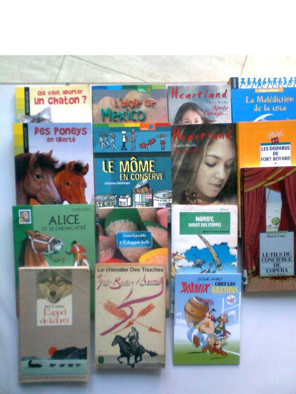 15 livres;Heartland, Norby, ... zoe Livres et BD