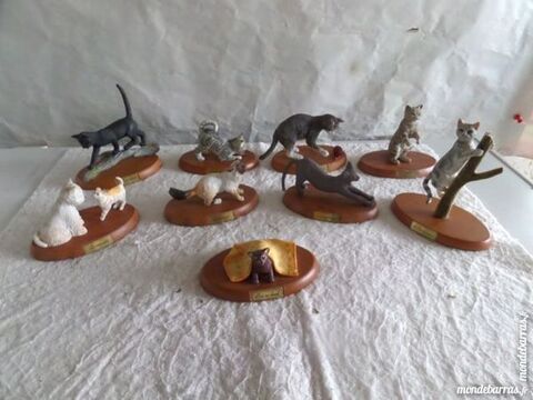 sujets de petits chats 4 Lyon 8 (69)