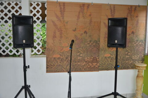 Petite Sonorisation YAMAHA 1300 Saint-Claude (97)