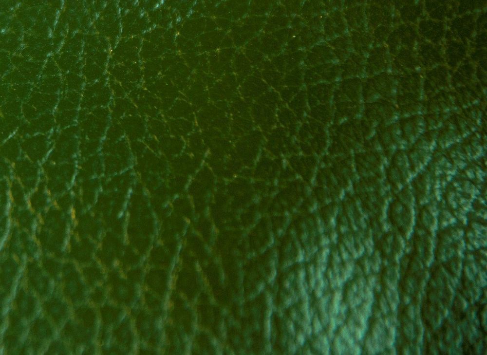 canap&eacute; cuir vert Roche Bobois et son pouf Meubles