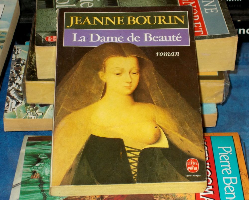 Roman la dame de beaut&eacute; de jeanne bourin Livres et BD