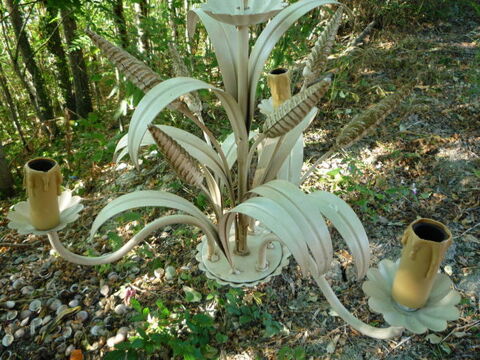 Lustre dco/pis de bl 35 Castres (81)