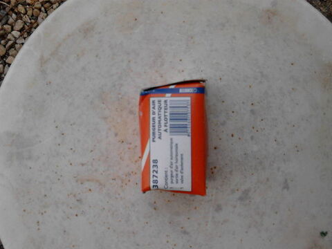 purgeur automatique de marque GIACOMINI 4 Sarzeau (56)