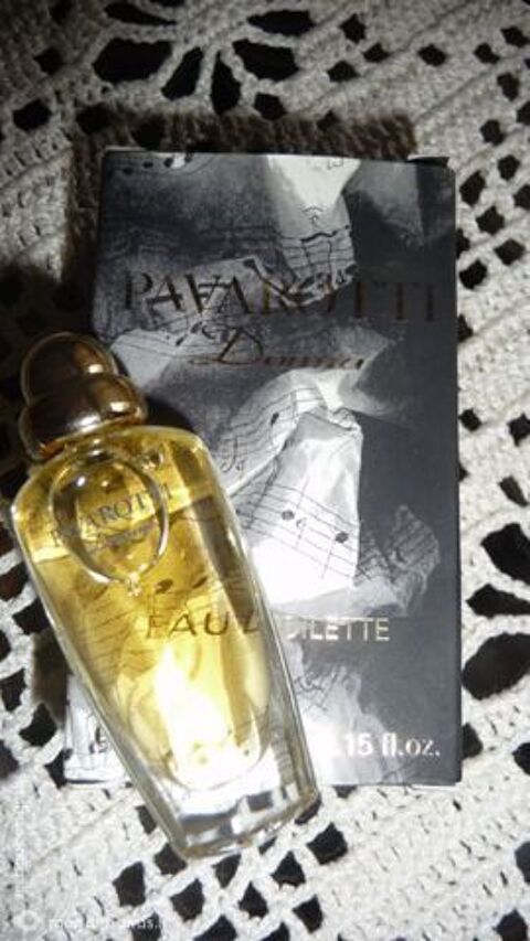 MINIATURE 10 Nice (06)