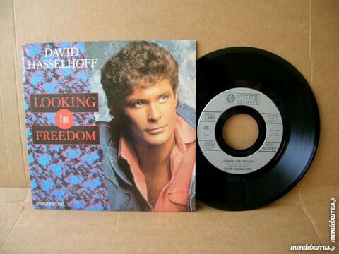 45 TOURS DAVID HASSELHOFF Looking for Freedom 5 Nantes (44)