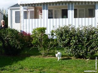 Location  Mobile Home 