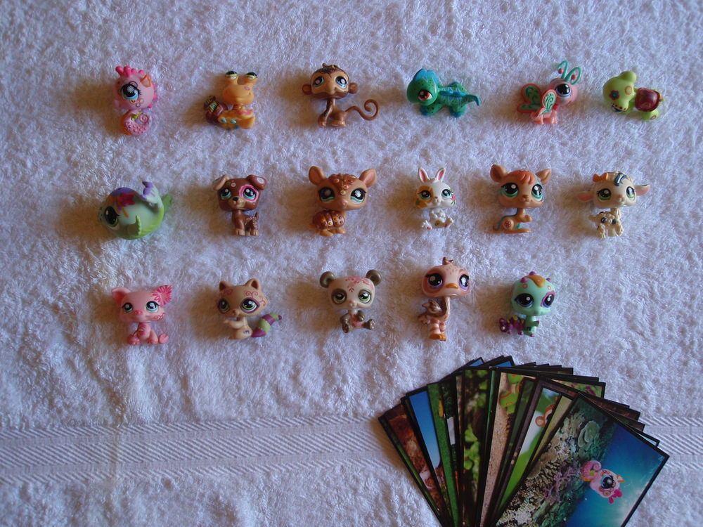 Petshop Postcard (carte postale) Jeux / jouets
