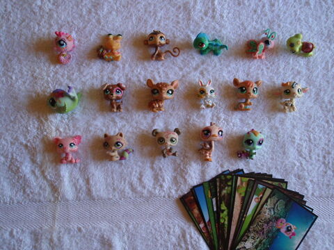 Petshop Postcard (carte postale) 8 Juillan (65)