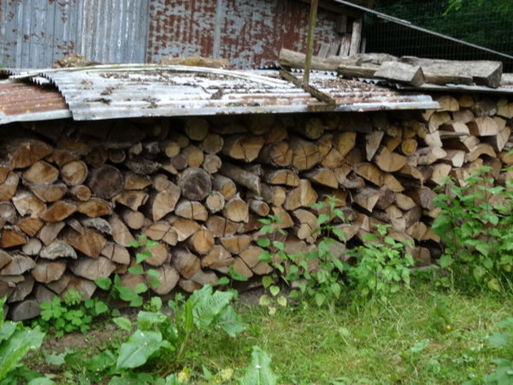 Bois de chauffage pr&ecirc;t &agrave; l'emploi Jardin
