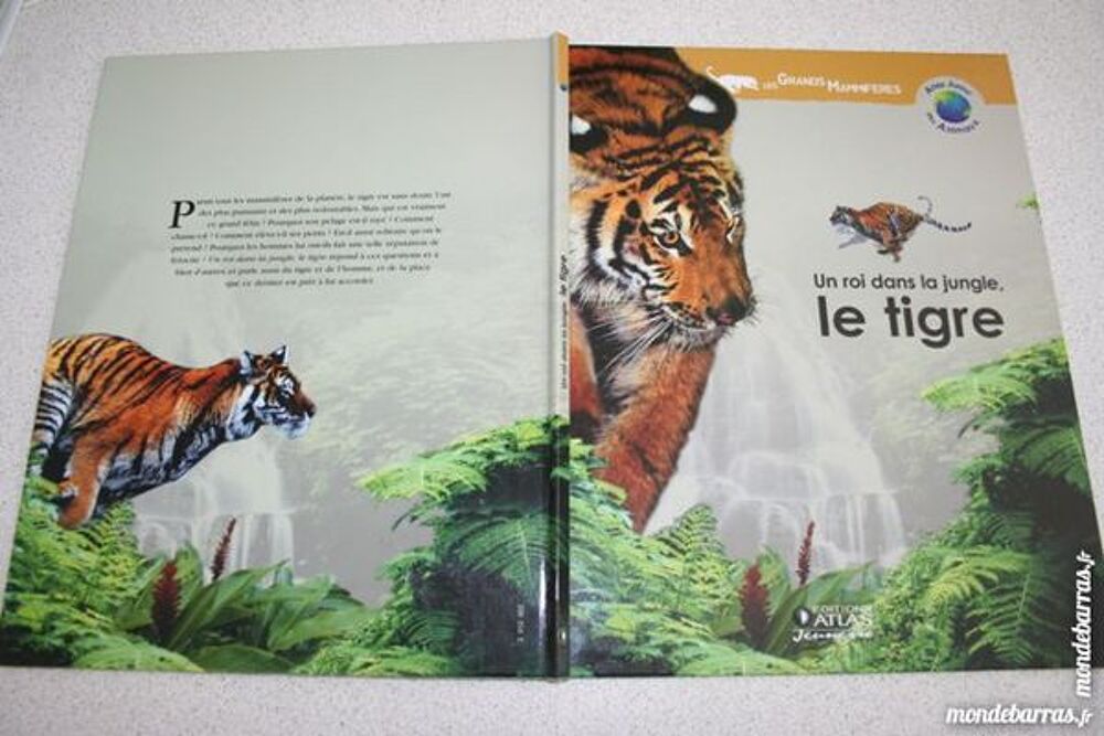 Livre Le tigre Primaire Coll&egrave;ge MIROTON Livres et BD