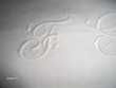 DRAPS BRODES 40 Romill� (35)