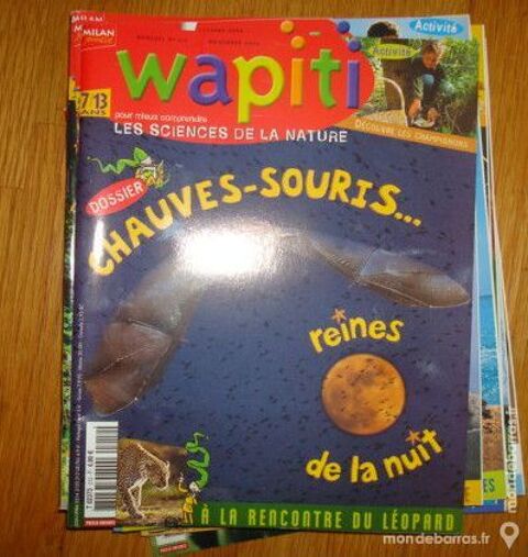 wapiti 8 Montcourt-Fromonville (77)