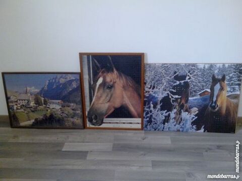 Divers puzzles et tableau 10 Beautiran (33)