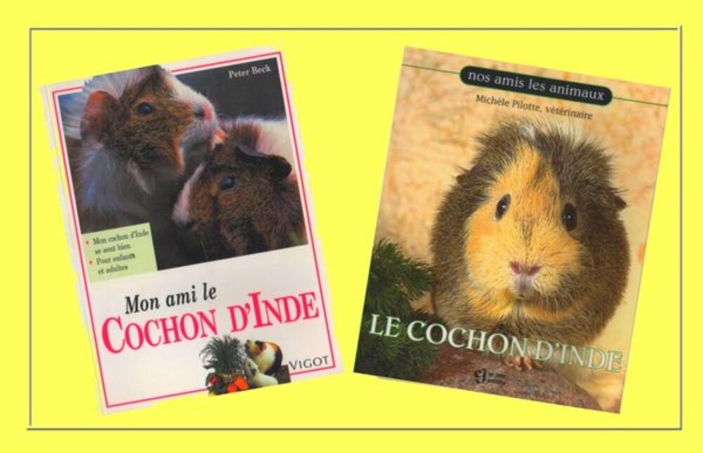 COCHONS D'INDE - 2 GUIDES / prixportcompris Livres et BD