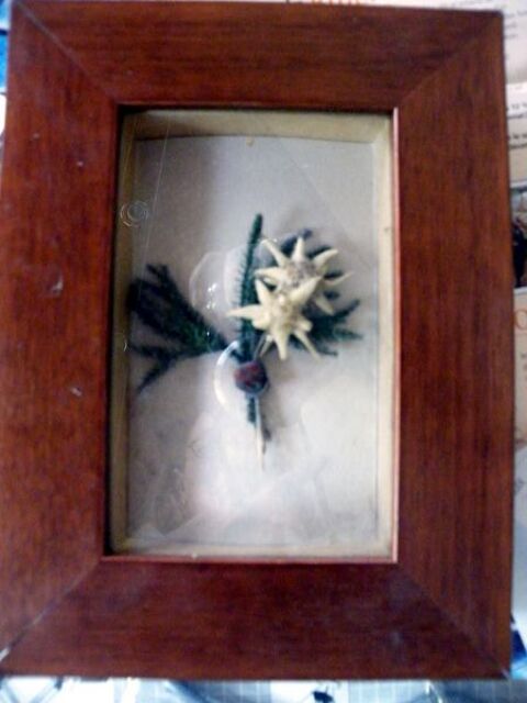 cadre avec edelweiss sechee   10 Viriat (01)