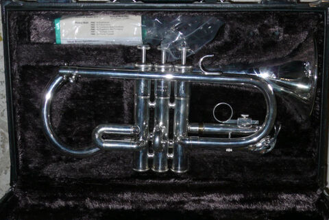 VDS Cornet Mib ycr 2510 Yamaha 700 Nmes (30)