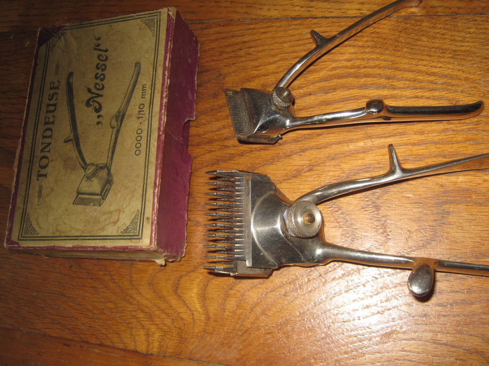 tondeuses 
