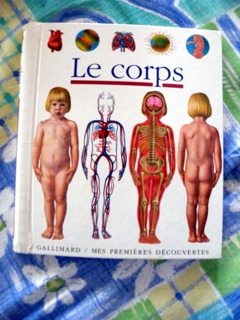 le corps ed gallimard mes premieres decouvertes Livres et BD