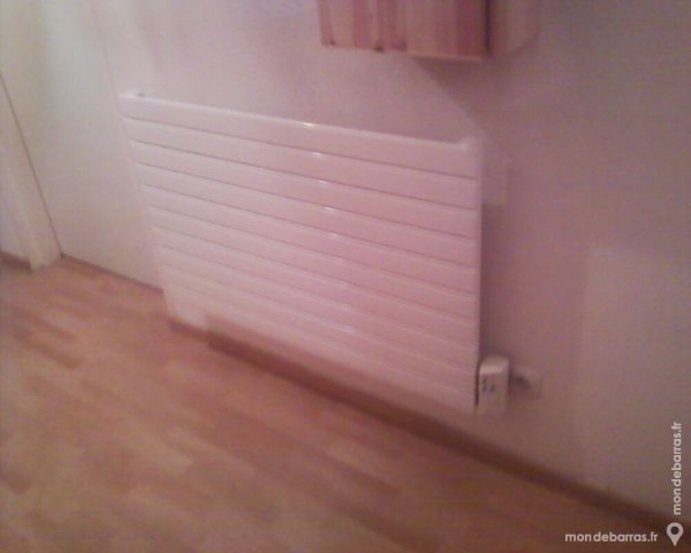 RADIATEURS A INERTIE LONGILAME 1000 W Cuisine