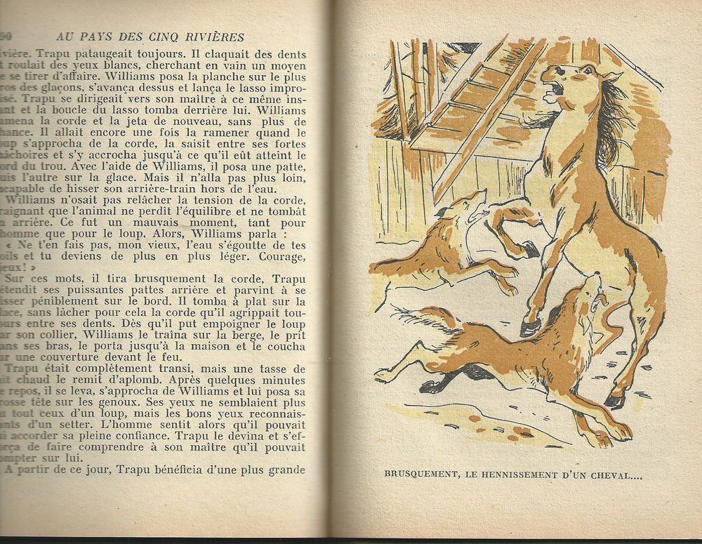 1 livre , au pays des cinq rivi&egrave;res 1953 Livres et BD
