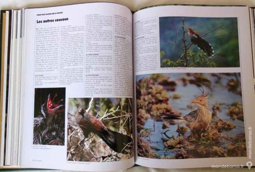 4 RELIURES LAROUSSE VIE SAUVAGE Livres et BD