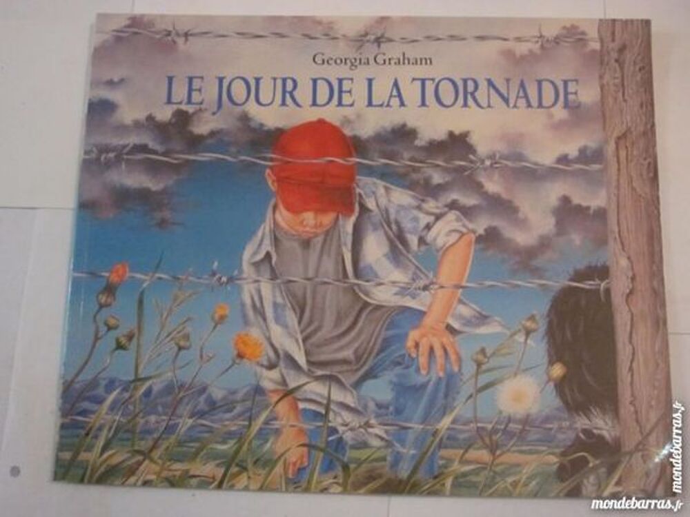 LE JOUR DE LA TORNADE un livre &eacute;cole des loisirs Livres et BD