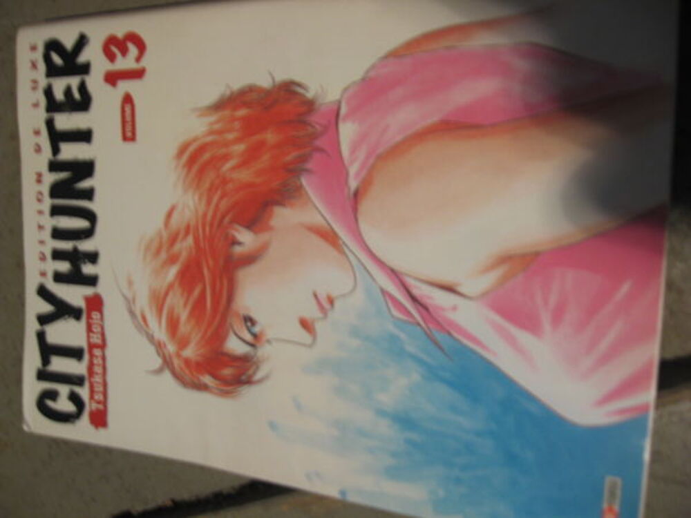 Dictionnaire + Manga Livres et BD