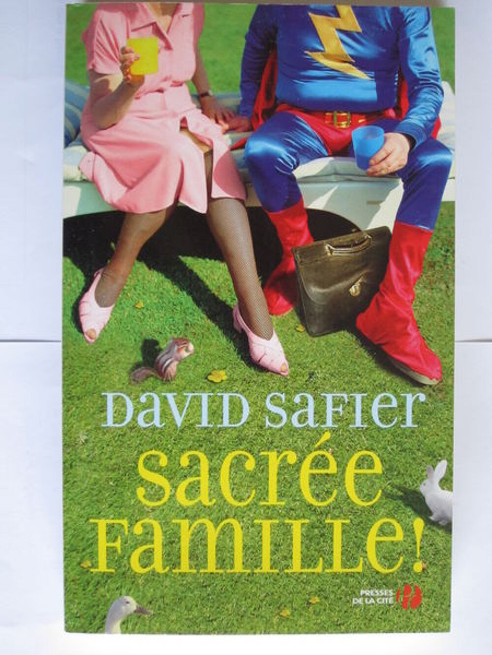 Sacr&eacute;e famille Livres et BD