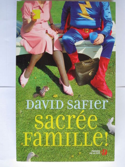 Sacre famille 5 Villejuif (94)