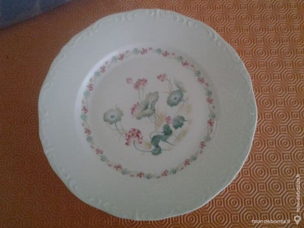 Assiette porcelaine (casoar) Cuisine