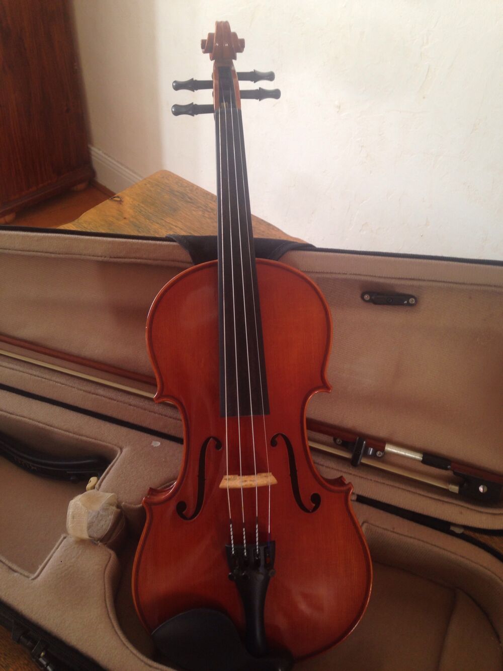 Violon entier Instruments de musique