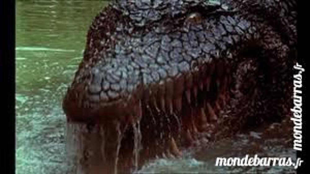 K7 Vhs: Killer Crocodile 2 (61) DVD et blu-ray