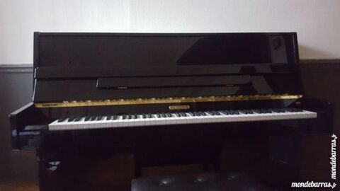 Piano Bachmann 2300 Dijon (21)