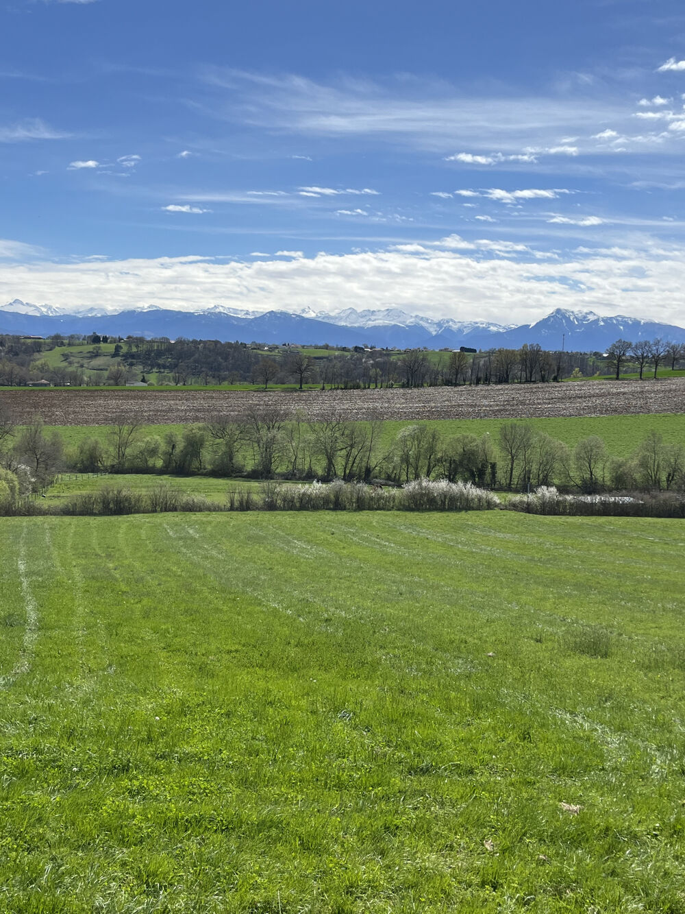 Vente Maison Corp de ferme 340m avec 2,8 Ha et vue  360 Saux et pomarede