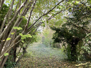  Terrain  vendre 1100 m