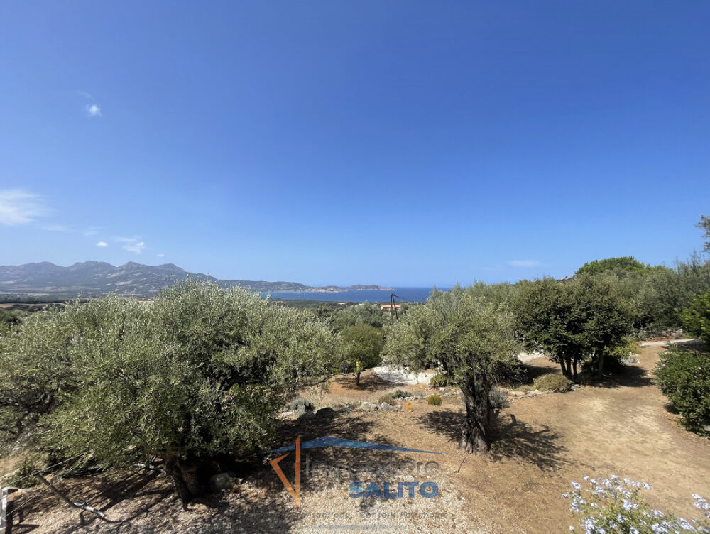  vendre  Maison Lumio (20260)