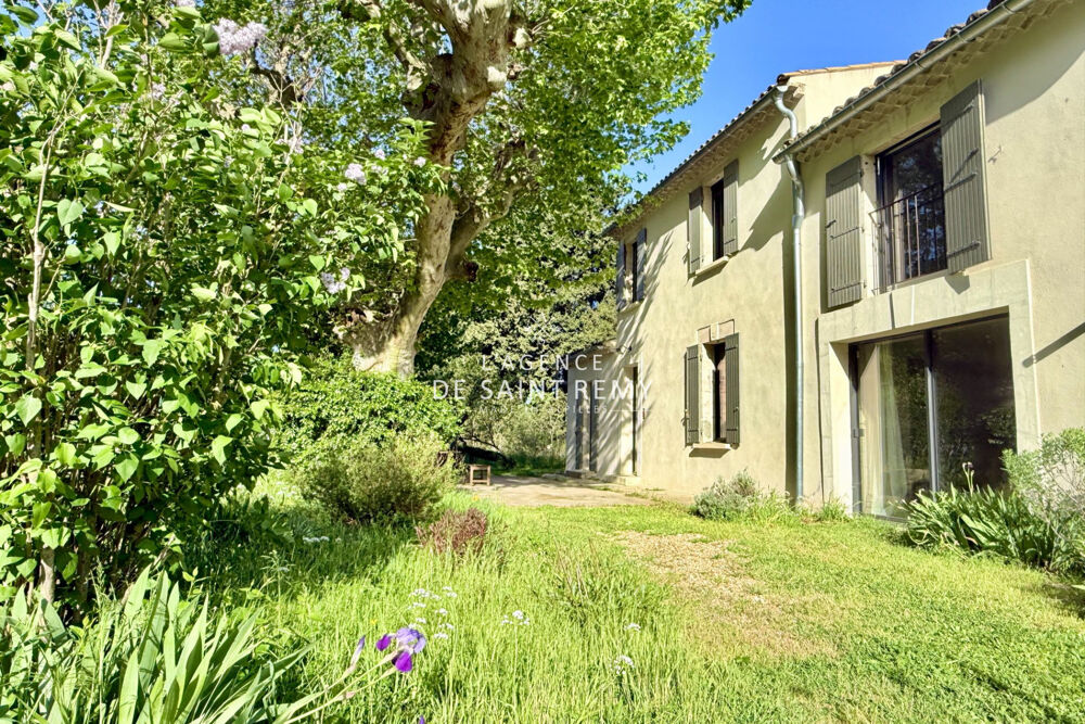 Coup de Coeur : Mas provençal rénové avec platane bicentenaire